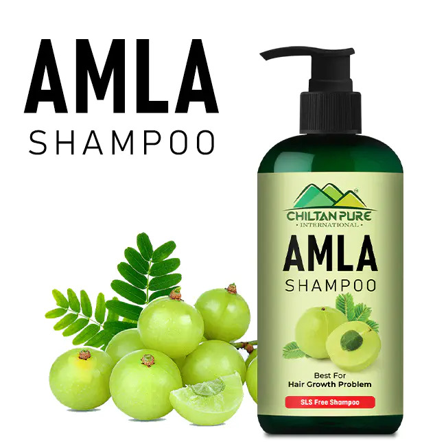 Amla Shampoo – Chiltan Pure