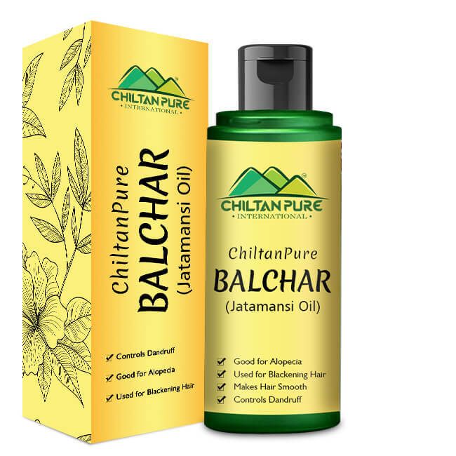 Balchar (Jatamansi) Oil - Chiltan Pure
