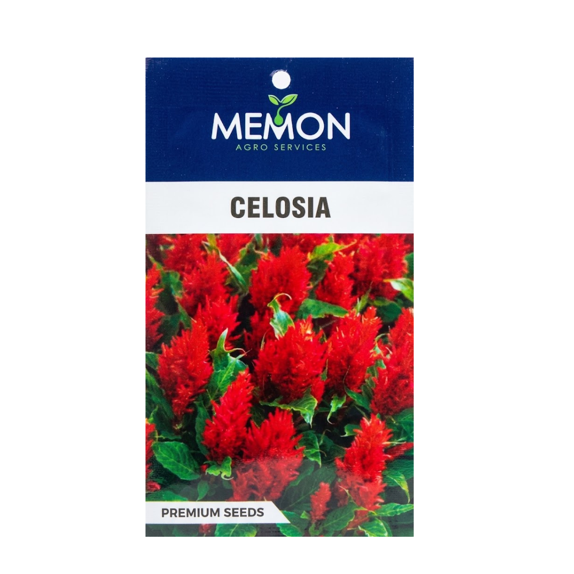 Memon Celosia Premium Seeds - Green Garden