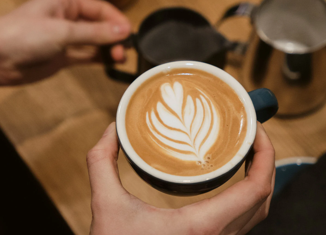 Cappuccino  - Nematoon