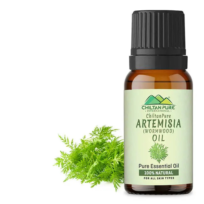 Artemisia Essential Oil (Wormwood) – Chiltan Pure