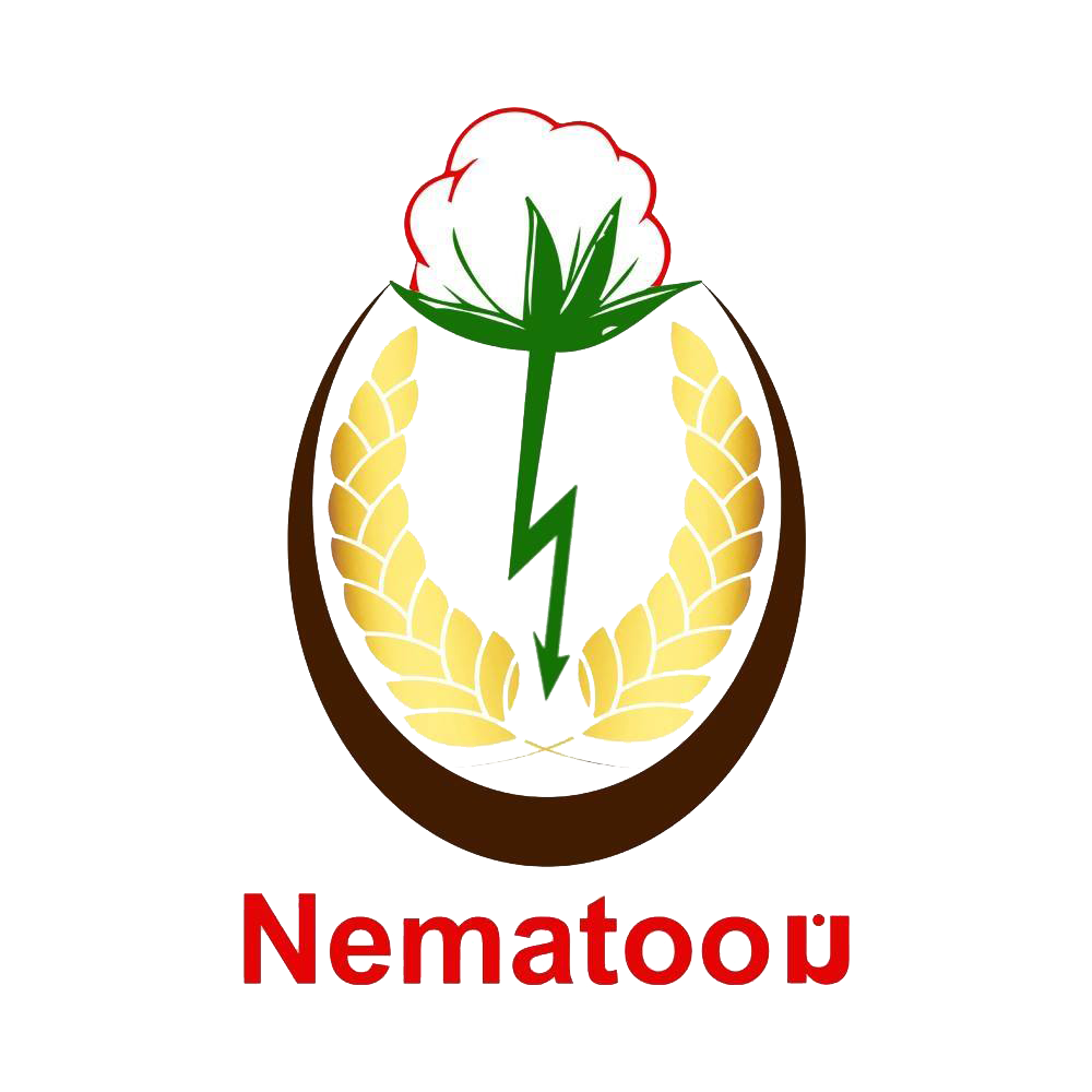Nematoon Restaurant