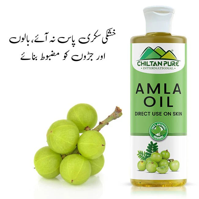  Amla Oil - ChiltanPure