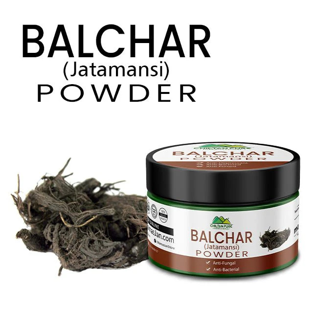 Balchar (Jatamansi) Powder - Chiltan Pure