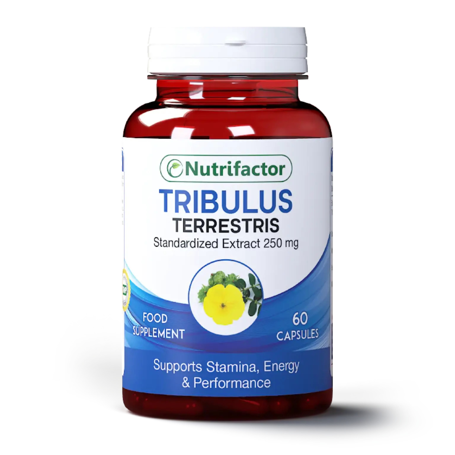 Tribulus Terrestris Capsules - Nutrifactor