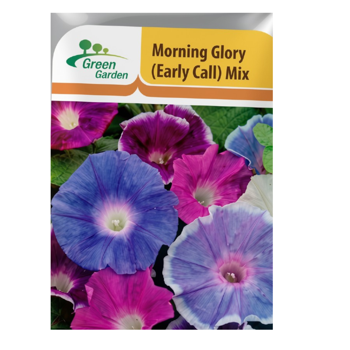 Morning Glory (Early Call) Mix Seeds - Green Garden