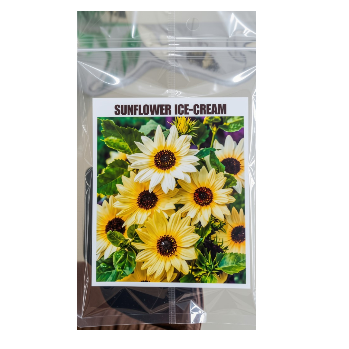 Sunflower Ice-Cream Seeds - Green Garden